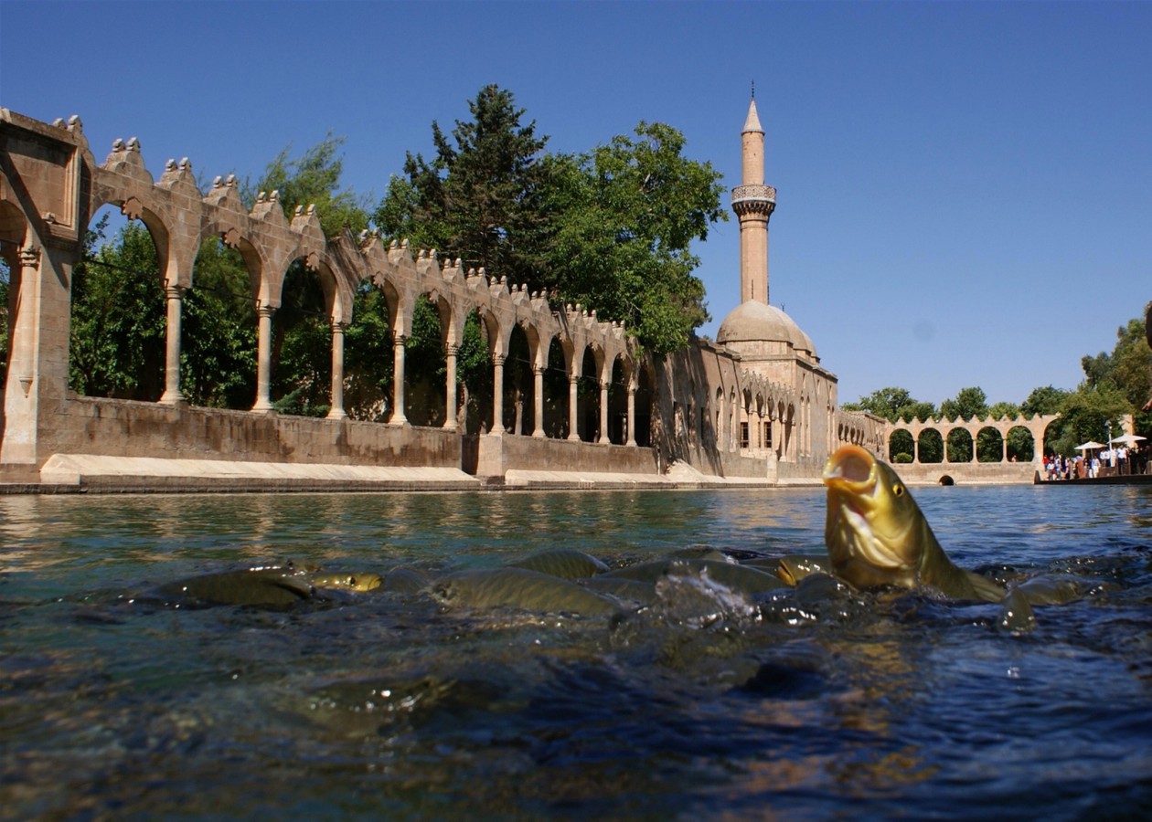 Tatil ve Gezi Turu Hizmetleri